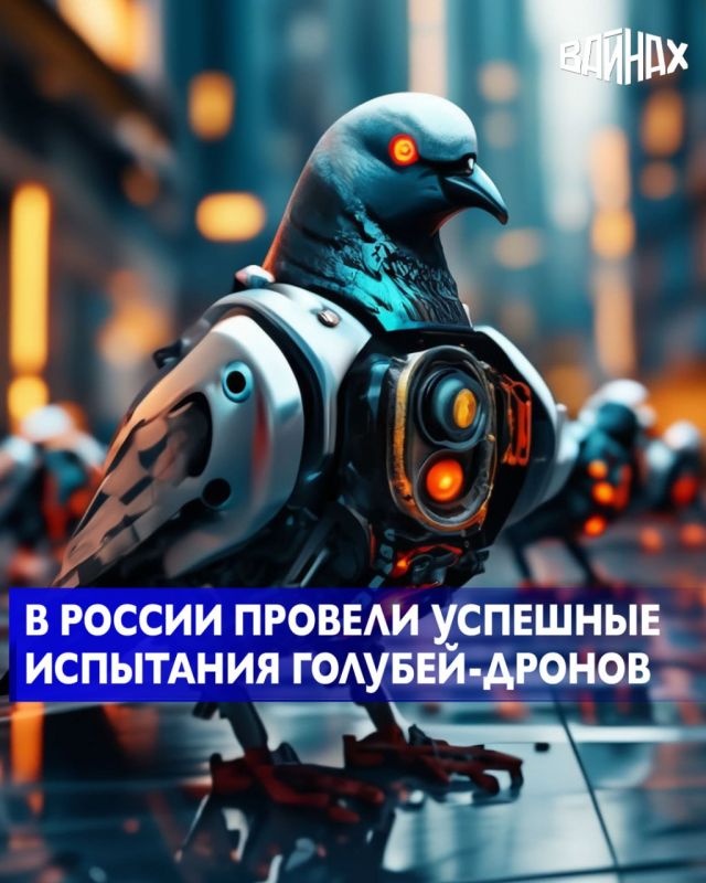Российская компания Neiry представила биодронов-голубей, оборудованных нейрочипом и электронным рюкзаком для дистанционного управления полетом