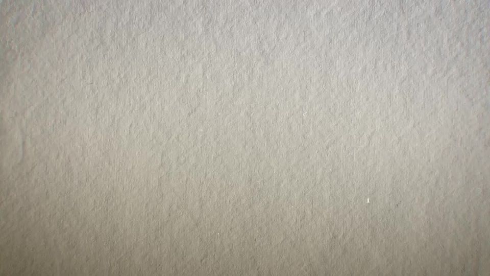 3 декабря - День кавказской овчарки