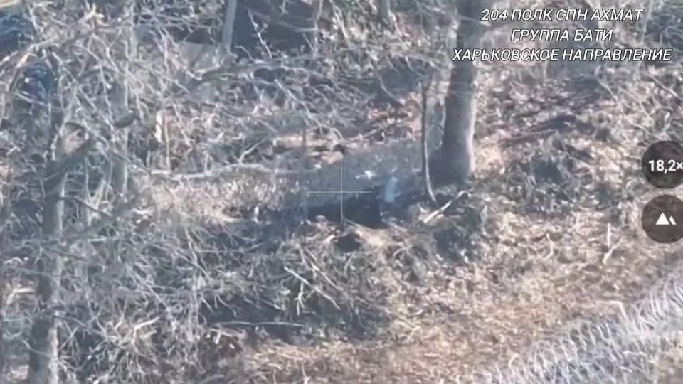 Глава ЧР Рамзан Кадыров опубликовал в своем телеграм-канале кадры работы группы «Бати» из 204-го полка спецназначения «АХМАТ»