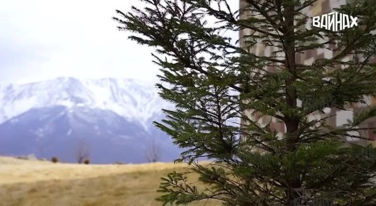 Туризм в горах Чеченской Республики активно развивается, предлагая живописные маршруты к высокогорным озерам, ущельям с древними башнями, водопадам и историческим местам