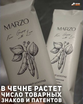 Федеральная служба по интеллектуальной собственности «Роспатент» представила результаты комплексного аналитического исследования состояния сферы интеллектуальной собственности в России за 2024 год