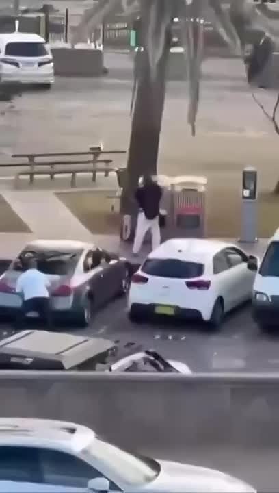 Число погибших в результате теракта на пляже Бонди в Сиднее выросло до 16 человек, — местная полиция