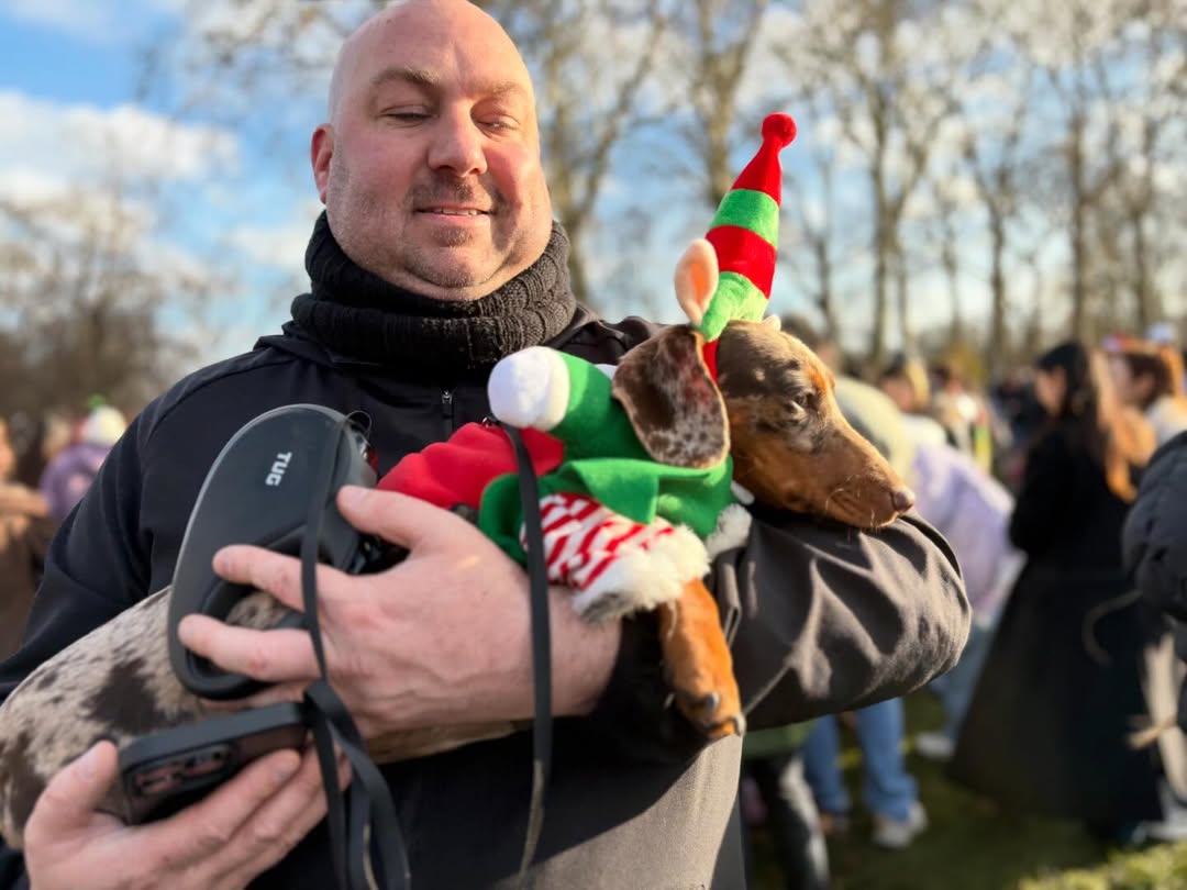 В лондонском Гайд-парке сотни такс собрались на рождественский парад В лондонском Гайд-парке сотни такс собрались на рождественский парад