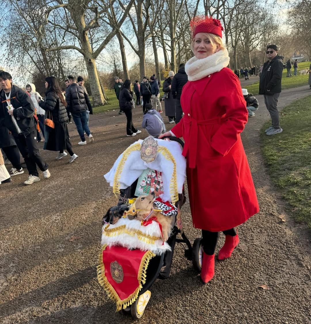 В лондонском Гайд-парке сотни такс собрались на рождественский парад В лондонском Гайд-парке сотни такс собрались на рождественский парад