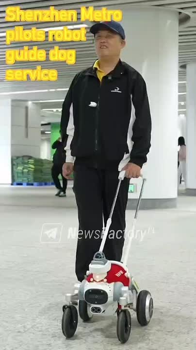 Четырехколсные робособаки начали составлять конкуренцию собакам-поводырям для помощи слабовидящим и слепым людям в Китае