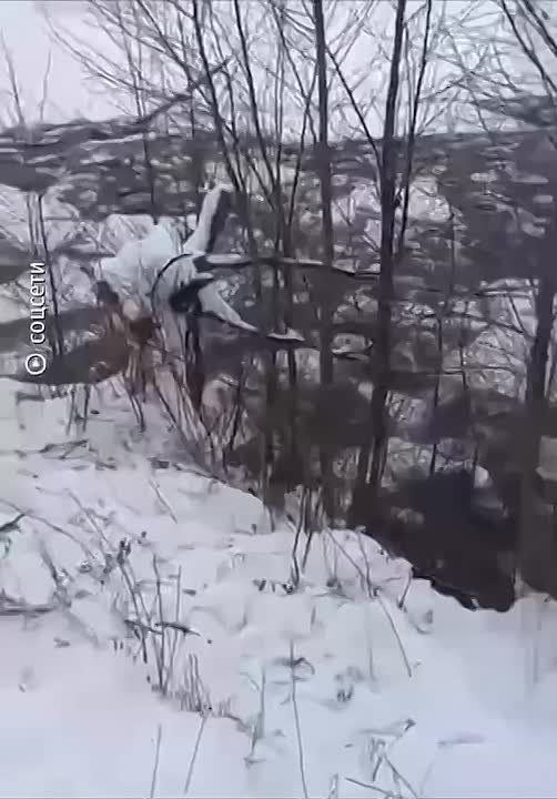 � �������� 200 ������ ������� � ����