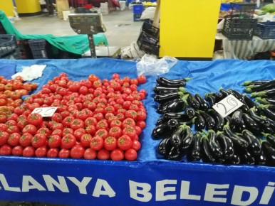 ������� ����� �� ������: ��� ������� ��� ������ �������