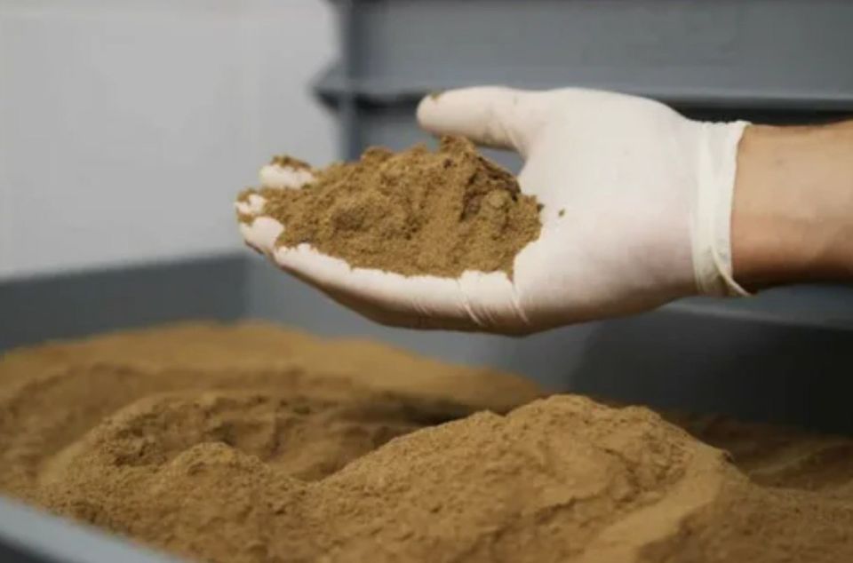 Рыбная мука: нужно ли строить заводы на берегу?