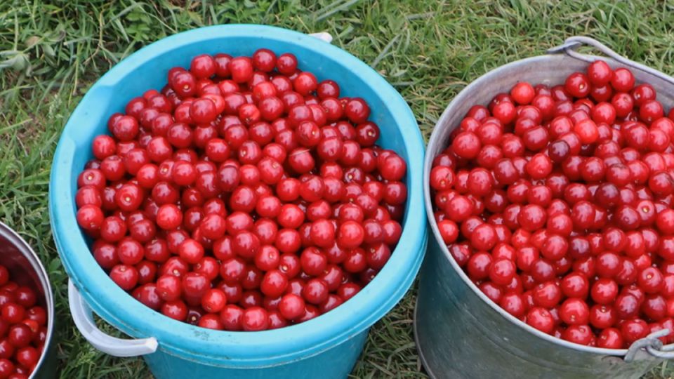 ��� ������� ��������� ����� � ���������� �������� ������� ����: ������� ���������