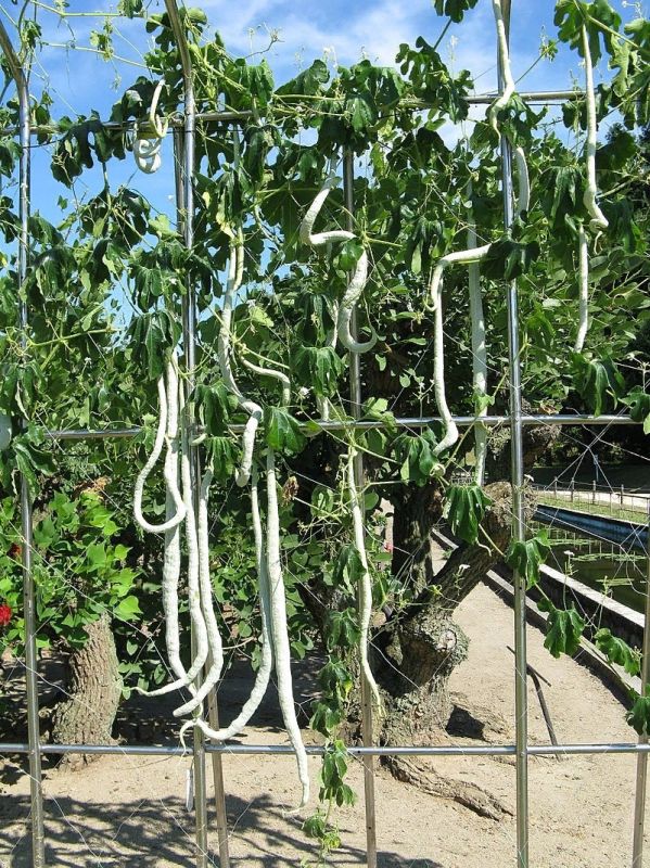 ����������: ���������� ��������� � ���� ����������!