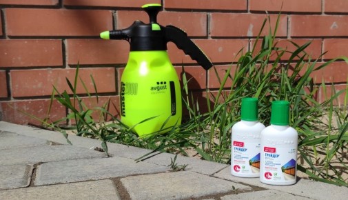 Как эффективно справиться с сорняками: секреты успешного применения гербицидов