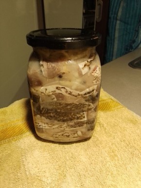 ��� ������� ������������ ���� ������������ ����: ������ �� ������������� ��������