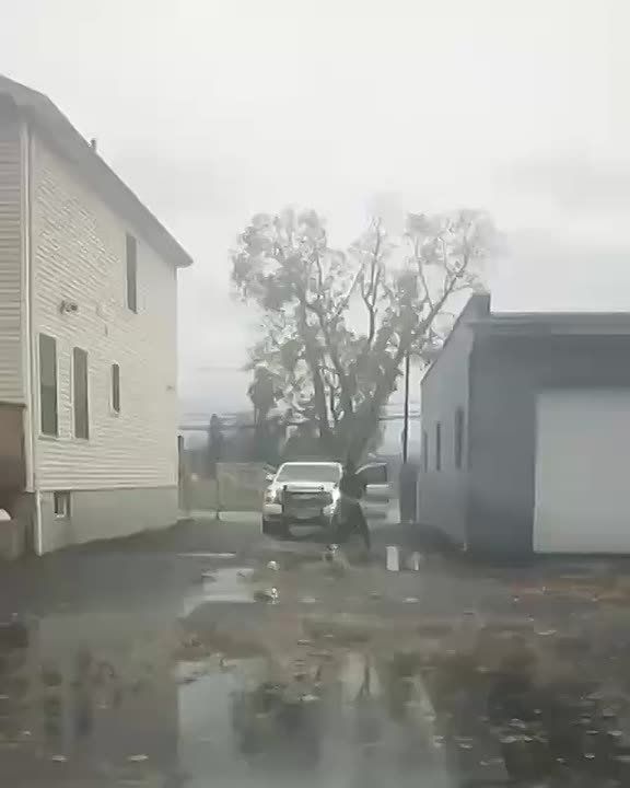 Необычный поворот для человека, который решил померяться силами с американским полицейским