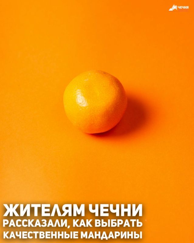 В преддверии новогодних праздников Управление Роспотребнадзора по Чеченской Республике пояснило потребителям правила выбора мандаринов — одного из самых праздничных фруктов