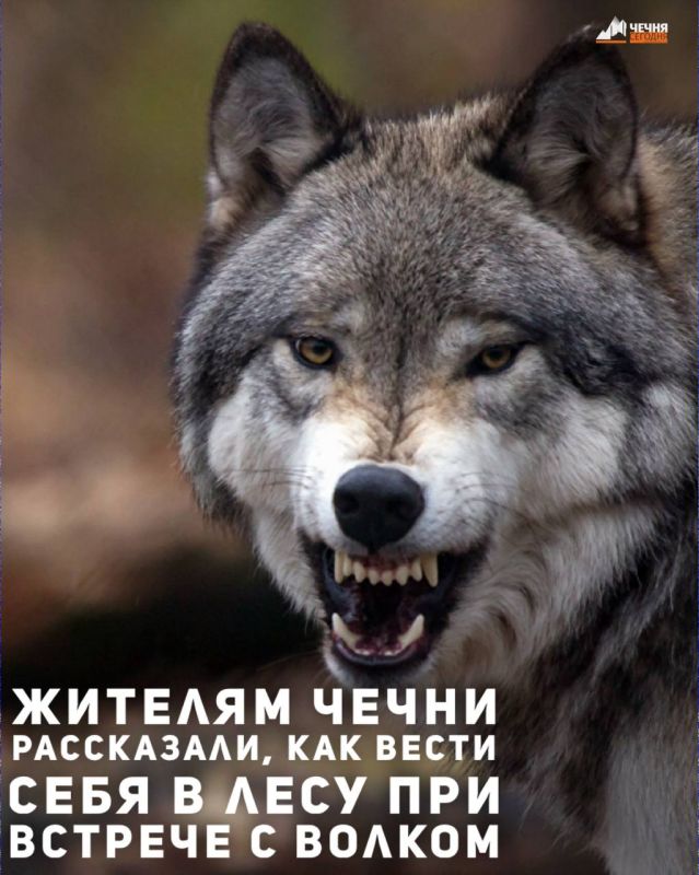 � ������������ ��������� �������� � ������ ���������� ����� �� ���������� � ���, ��� ����� ���� � ���� ��� ������� � ������