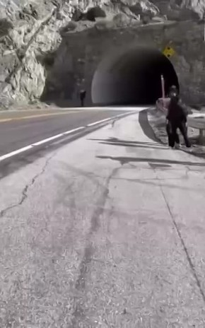 �������� ���� ������ ���, � ������� ����� ��������� ��� ����� Call of Duty ���� ��������