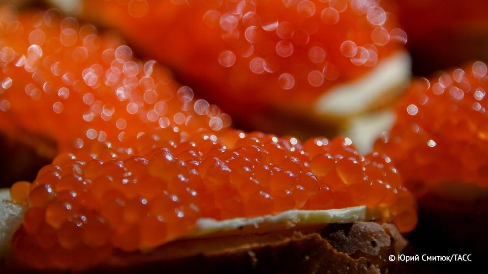 ����������� ���������� �������� ������� � ��������� ���� ���� �����, �������� �����-������ ���������