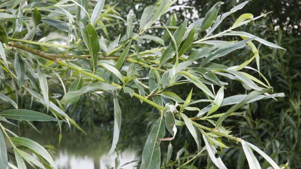 ��� ������� ������� � ���������� ��� �� ����� �������