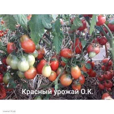 ����� ������� ������: ������� ��������� ������ ��� ������ ������