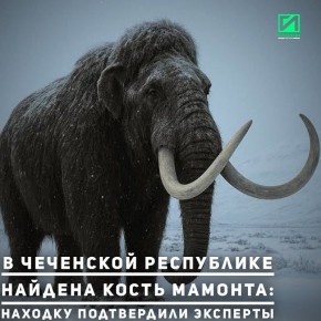 � ����������� ������ ��������� ���������� ���� ���������� ������ ������������� ����� �������