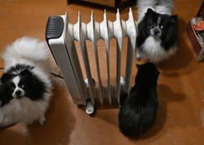 Авария лишила тепла и горячей воды десятки домов в Кисловодске