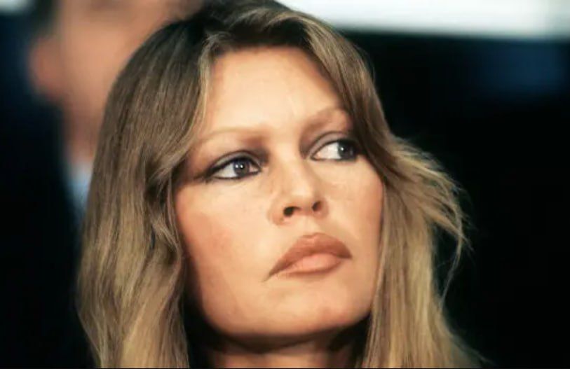 ������ ����������� ������� ������� �����, ����� AFP