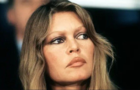 ������ ����������� ������� ������� �����, ����� AFP