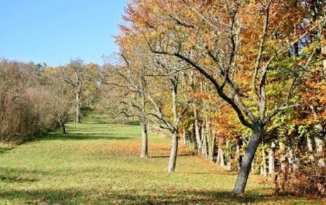 ������ ������� ��������� ����� ��� �������� ��������