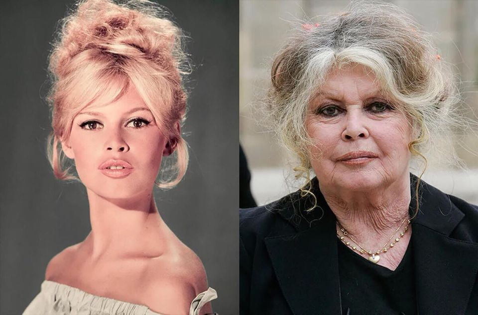 ��� ������� ������� �������� ����� 50: ��������� ����� ������ �����