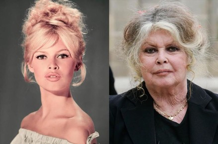 ��� ������� ������� �������� ����� 50: ��������� ����� ������ �����