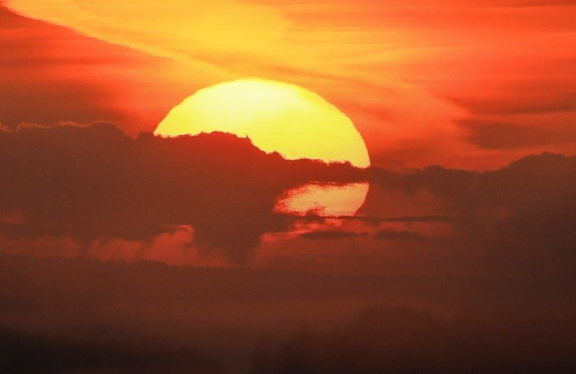 ����� �� ������ ��������� ��� ������� ������� ������ �, �������� � ����������� ��������� ���������� ��� ��� � ���� �� ���