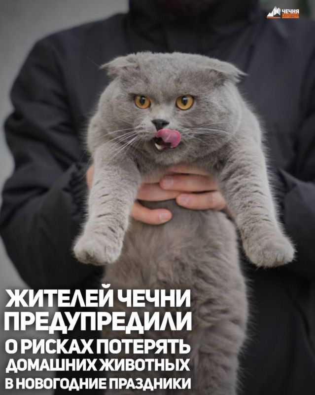 �� ������ ������������� ������� ������ �������� Pet911, � ������ ���������� ���������� ��������� �������� �������� �� ���� ������ �������� �������� � ������� ����� ����� � �����