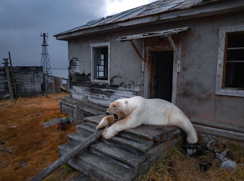 Снимок Вадима из России попал в подборку издания Guardian, как «фото, определившее 2025 год»