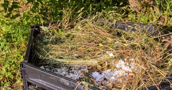 ������������ ������: ������ ��� �� �������� ������ ��� �� ������ ���������� ��