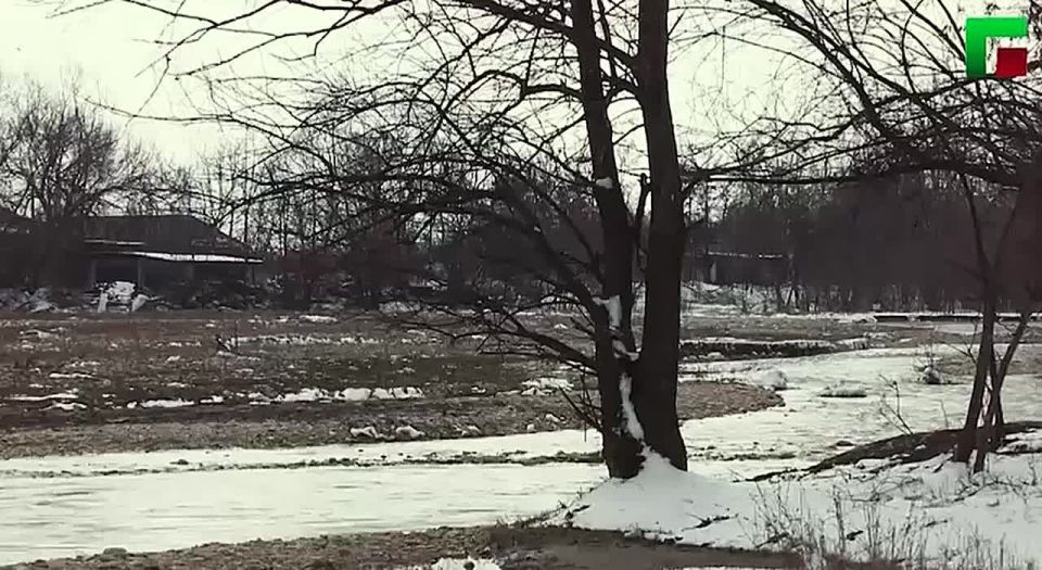 ���� �����-����� ������������ ������� ����� ����� ������ ����������, ����������� �� �������� ���������� � ��������������, � ����� � ������������ ������� ��������� (�� ����������� ��� ����� � ������������), ���...