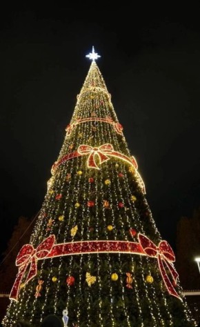 ���� ������ �� ������� ����� ������ ������������