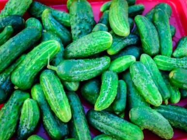 ������� ��������: ��� ������ ����� ����������� ��� �������