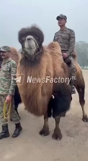 ��������� ����� �������� � ���� ���� ���������