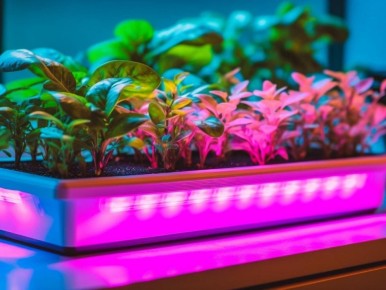 ��� ������� �������� ������: ������� ��������� ����������� ������ � ��������