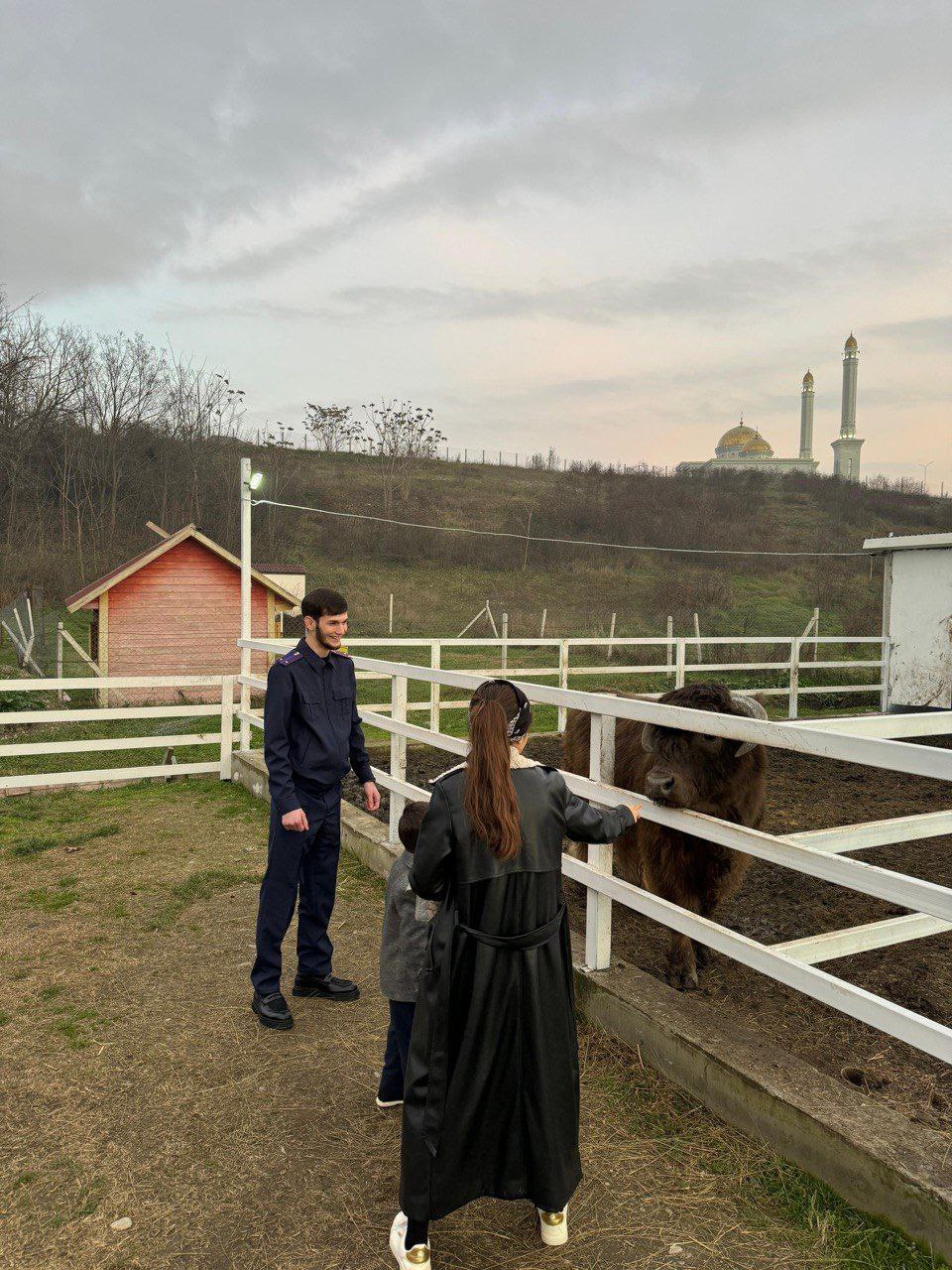 Следователи исполнили новогоднее желание пятерых детей из многодетной семьи погибшего участника специальной военной операции Следователи исполнили новогоднее желание пятерых детей из многодетной семьи погибшего участника специальной военной операции