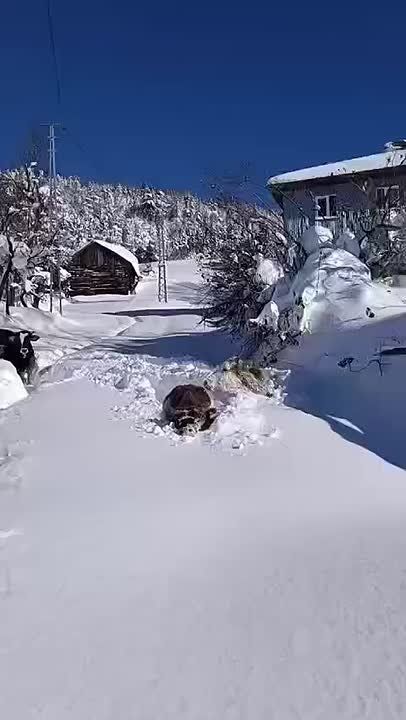 ���������� ��������� � ������ ������������, � ������� ��� ����������, ��� ���� �����, ��������, ����� ���������� ������������ ������ �� ��������� ����� � ������