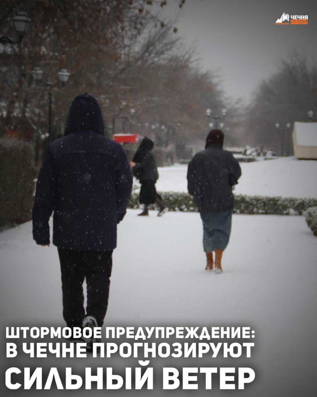 В предгорных и горных районах Чеченской Республики ожидается сильный ветер южной четверти 30-33 м/с, в высокогорье 35 м/с