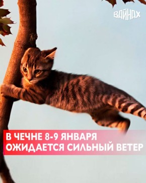 �� ���� �������� �� ��� ������ �� ��