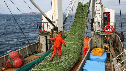 �������� ��� ���� ��������� ��� ������ �� ������ ������