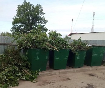 ������������ ������ ������ ������ ��������� �� ��������� ��������