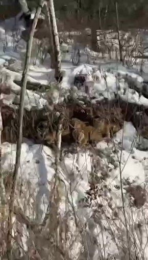 ���� ������ ������� ������ ����� ����, ��� � ���������� ����� ���������������� ����� � �������� ��������� ��������� �����, ����������� ����� � ������� � ���������� ����