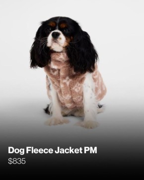 Louis Vuitton выпустили коллекцию вещей для домашних животных