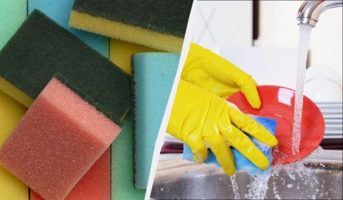 ������� ����� ��� ������: ������� ������� �� ����������