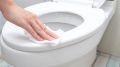 Запах из унитаза улетучится за одну ночь: поможет этот дешевый продукт