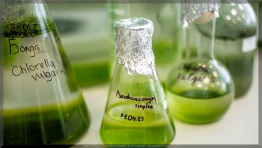 ��������� � ������: ����������� ������� ��� ���������